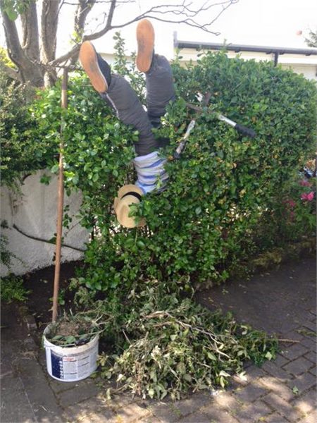 Scarecrows 2016