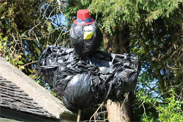 Scarecrows 2015