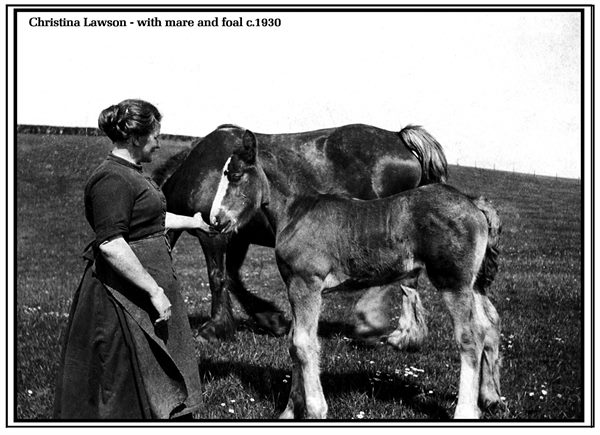 Farm 110