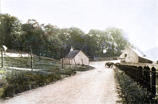 Cameron Crescent