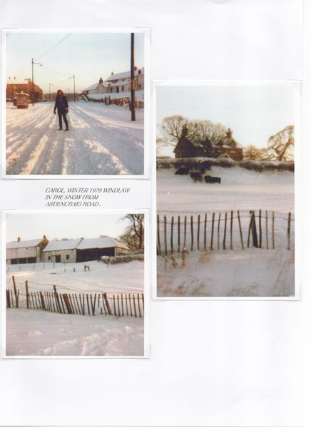 Windlaw Farm Pg. 23