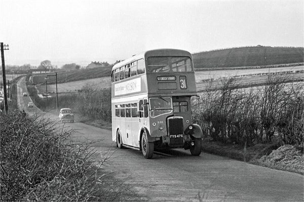 Number 31 Bus