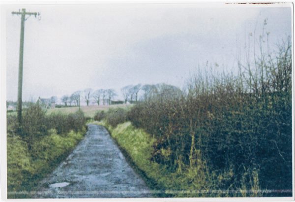 View along Windlaw Rd.