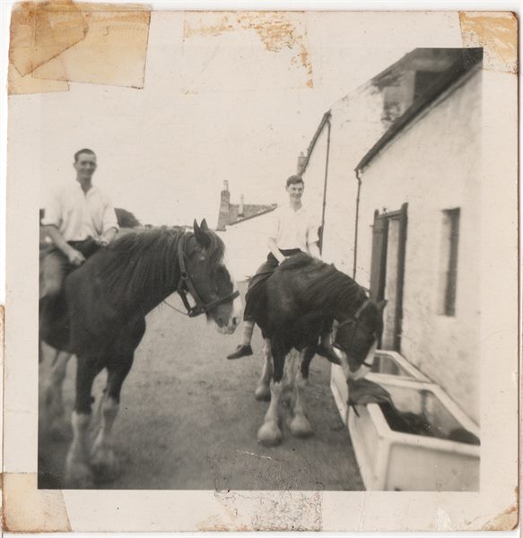 Windlaw Farm