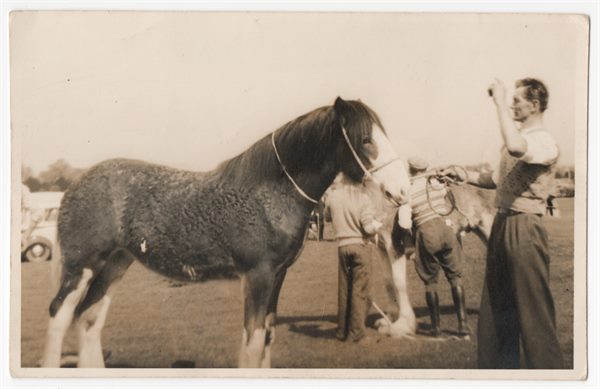 Paul Winkler and Clydesdale