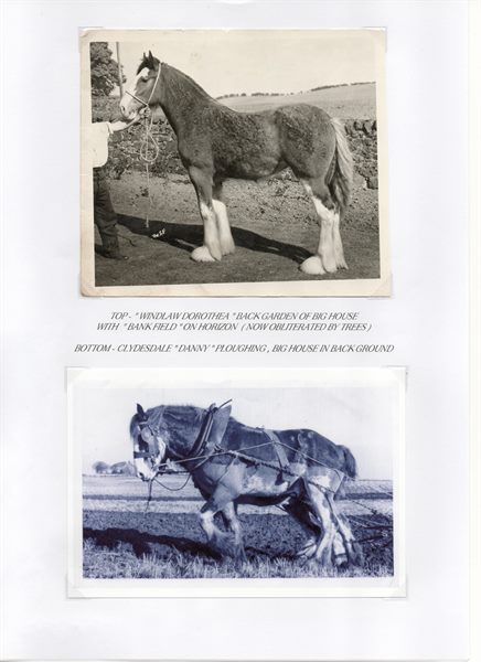 Windlaw Farm Pg. 6