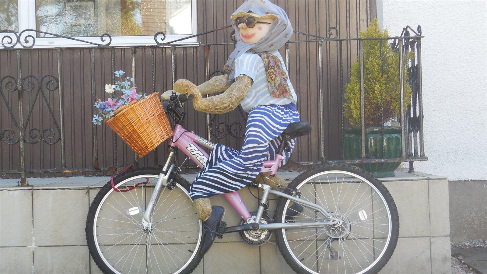Scarecrows 2017