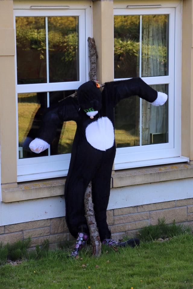Scarecrows 2016