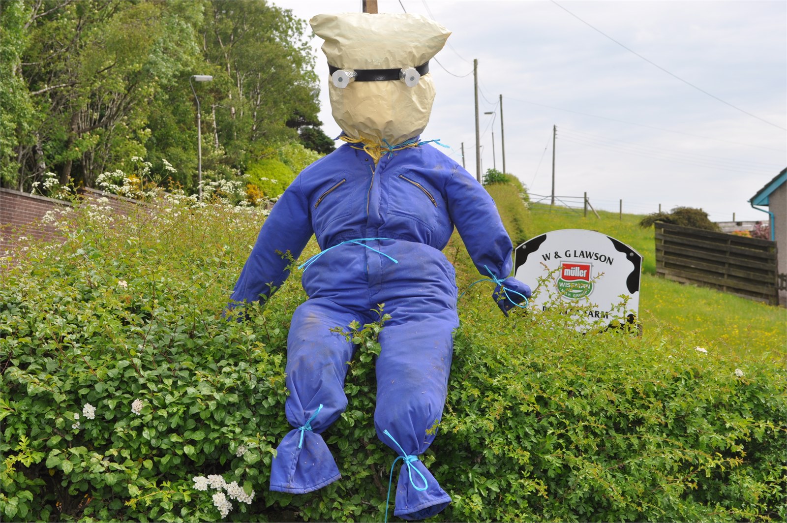 Scarecrows
