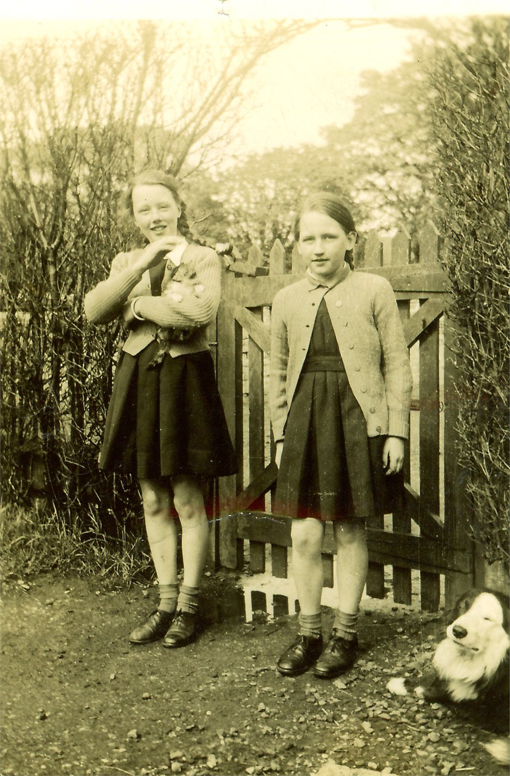 mumand aa gallowhill