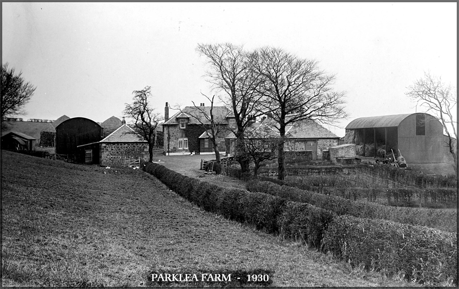 Farm 204