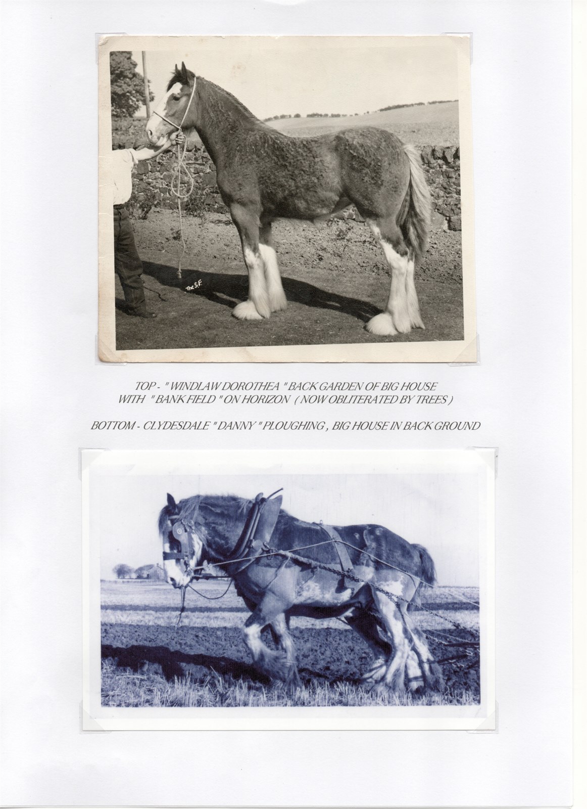 Windlaw Farm Pg. 6