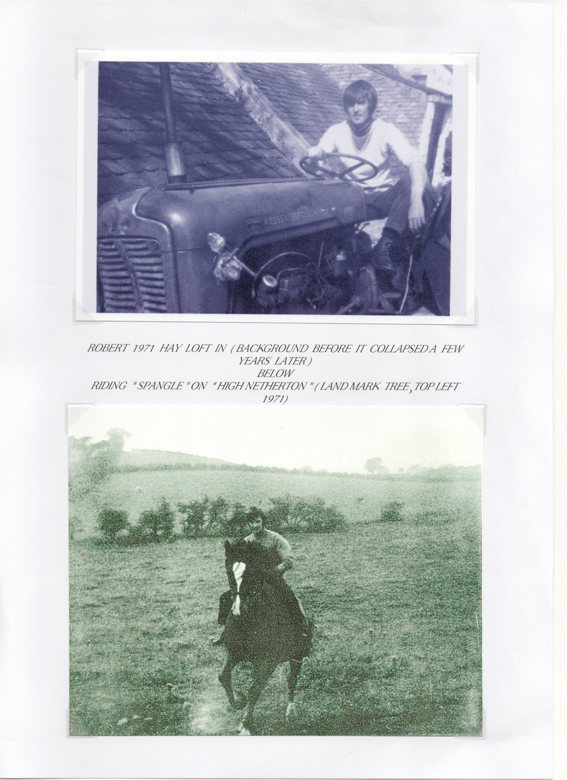 Windlaw Farm Pg. 13