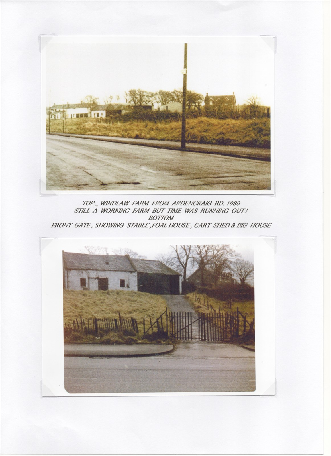 Windlaw Farm Pg.24