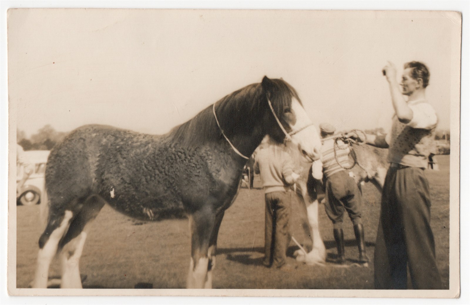 Paul Winkler and Clydesdale