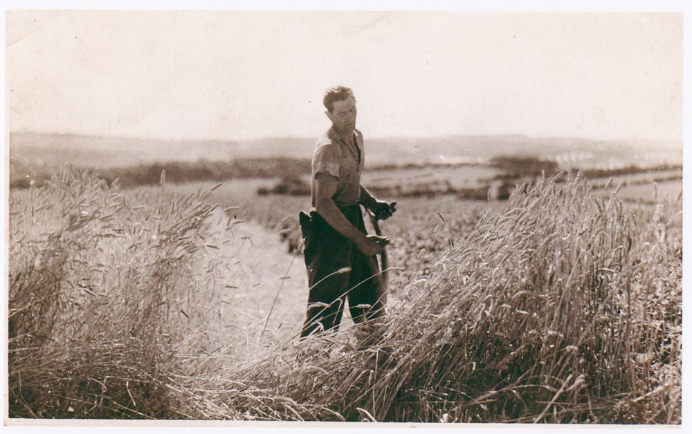 Paul Winkler scything at Windlaw