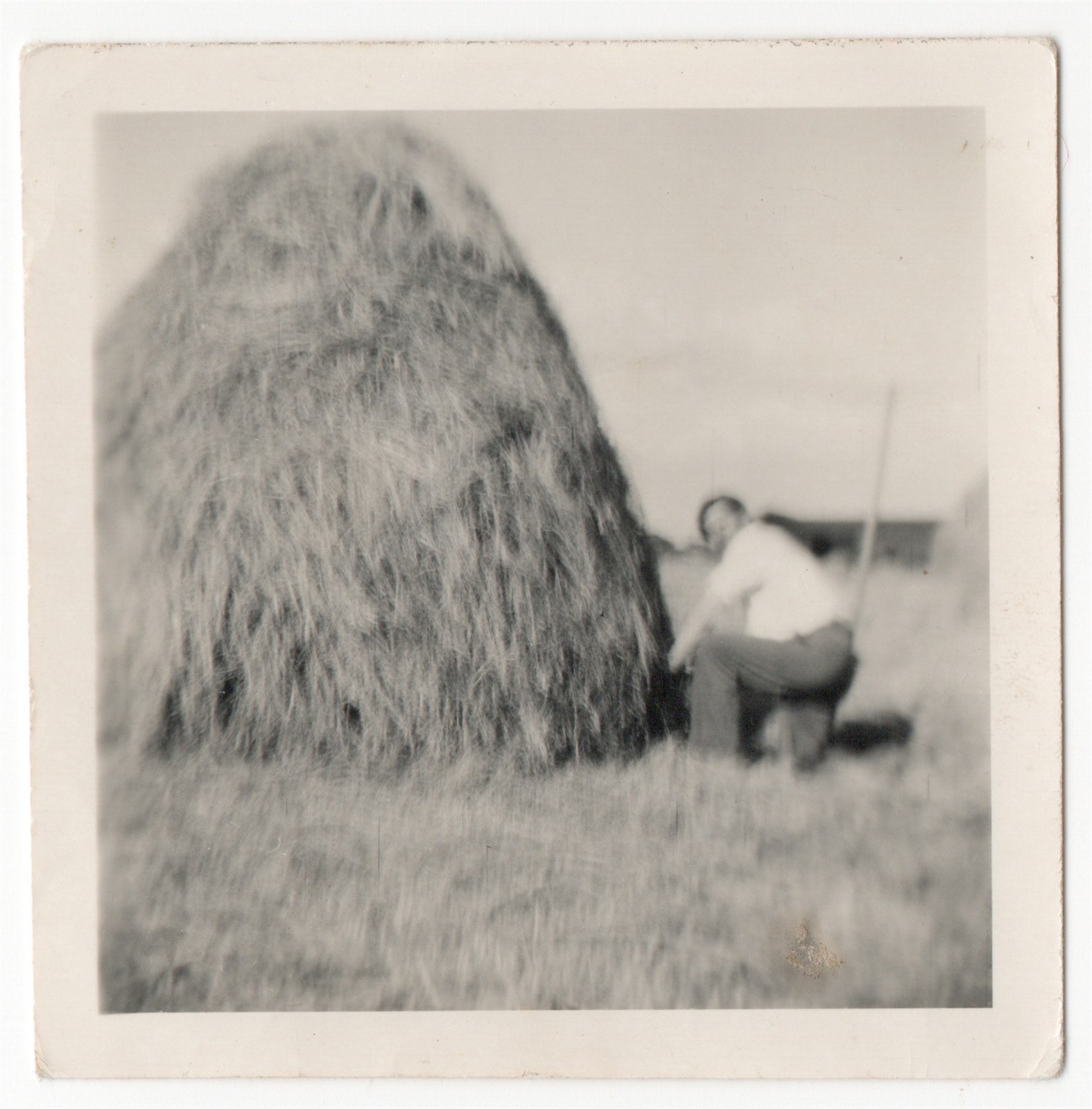 Paul Winkler at Windlaw Farm